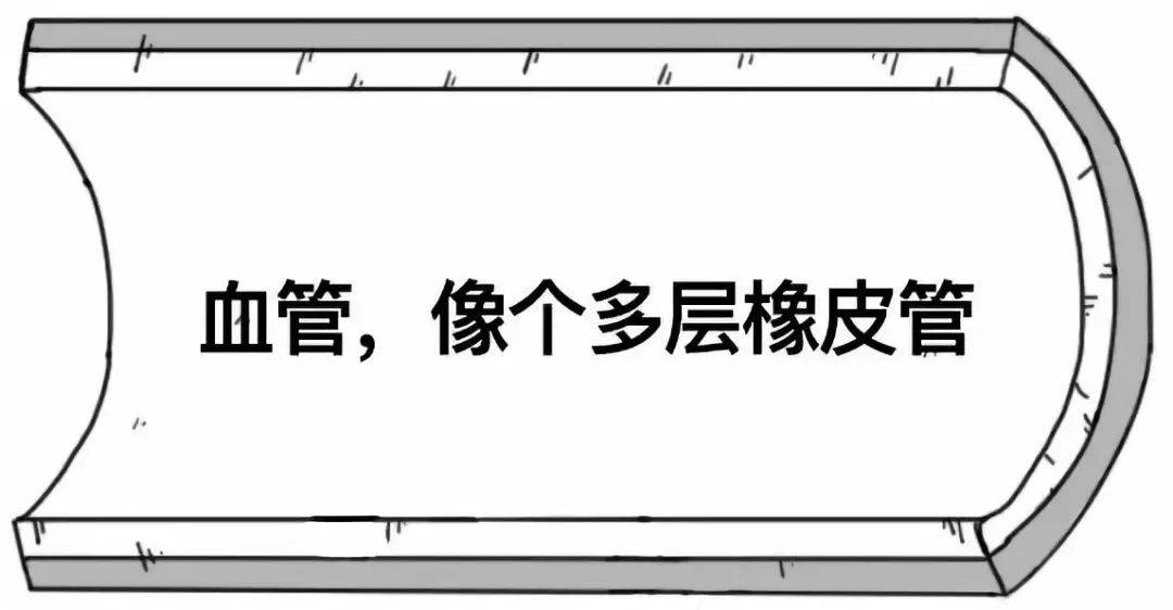 453ab198b61c4537a2392359c45a7acf.jpeg