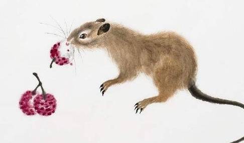 鼠是哪年生人 5d24cec0906d4191813b68a2d9547b6c.jpeg