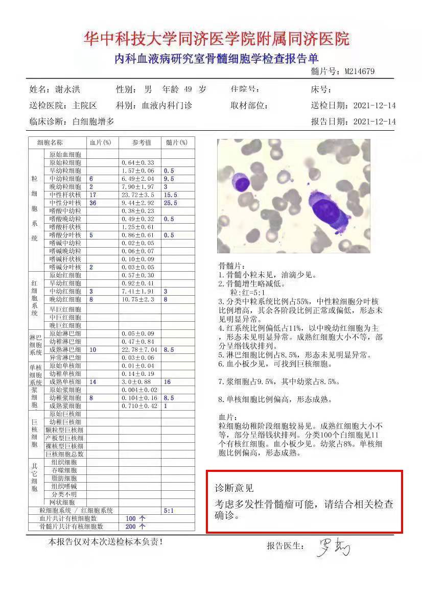 措施输血小板后我们回到老家湖北在武汉同济医院进行了骨髓穿刺检查