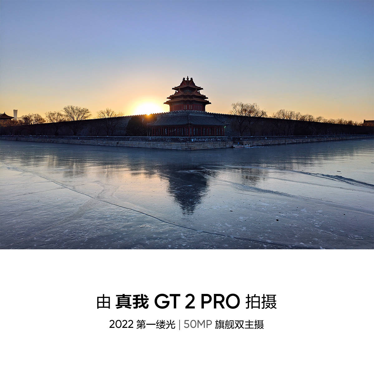 realme gt2 pro微距图片