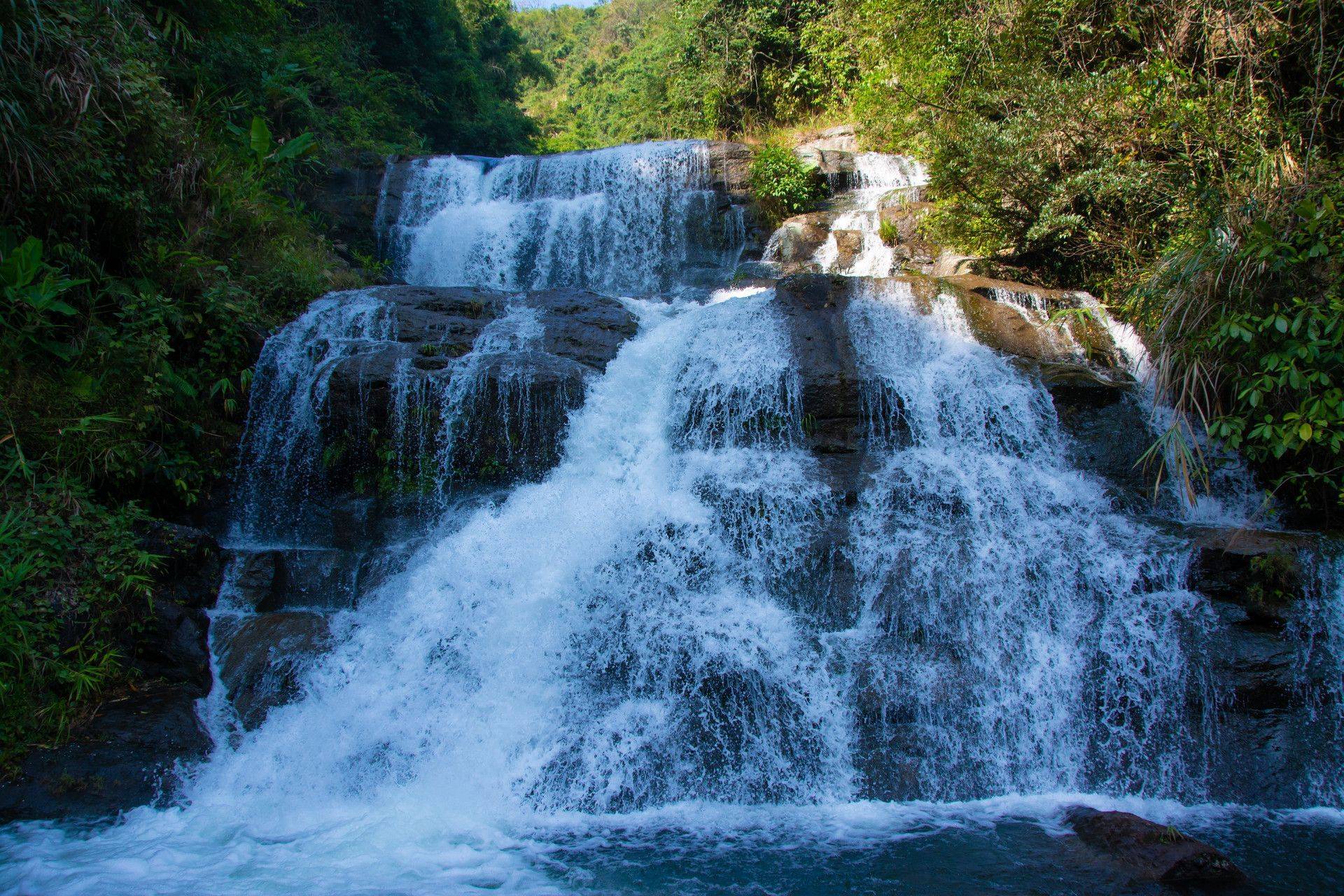 遵义旅游景点——游遍中国_桫椤_自然保护区_赤水