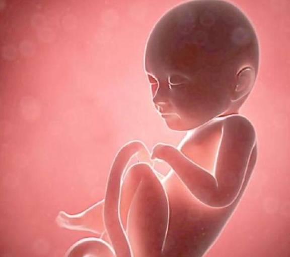 几个月胎儿会踢肚子 868e511d4c2f443ba9ab92955604566f.jpeg