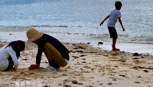 a0161063a2a54cd58604bfdc6a7a555e.png