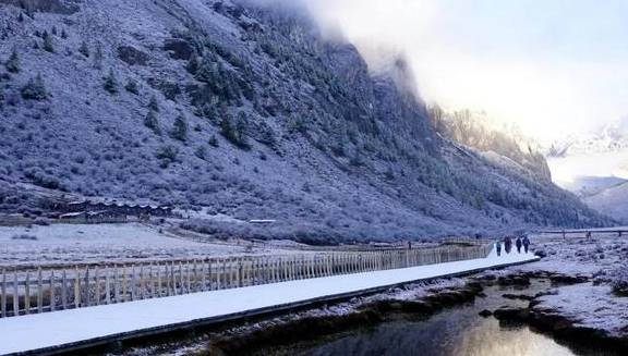 冬日里的稻城亚丁 漫山遍野开满雪花