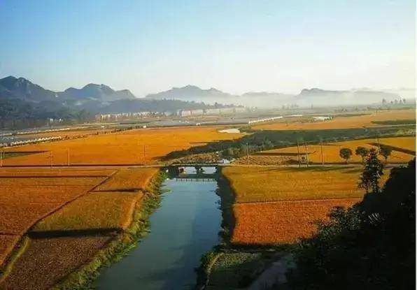 有生活 | 重塑农业全产业链 强化农业科技 莫属三门县