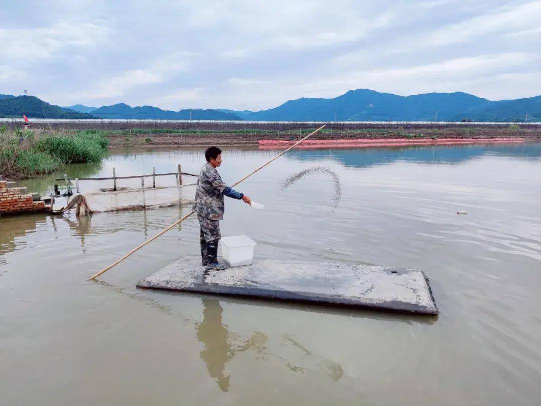 有生活 | 重塑农业全产业链 强化农业科技 莫属三门县