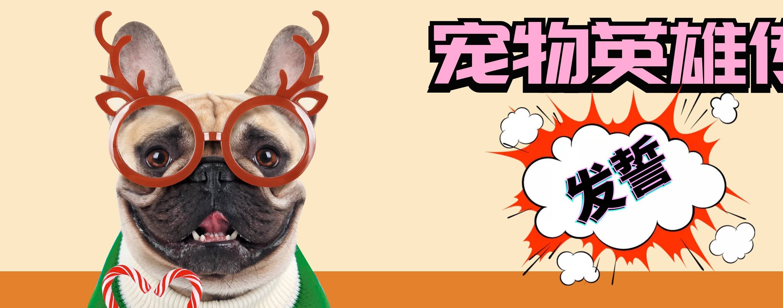 母则刚宠主大测试，看看你适合养什么样的狗狗，不然选错了可别后悔