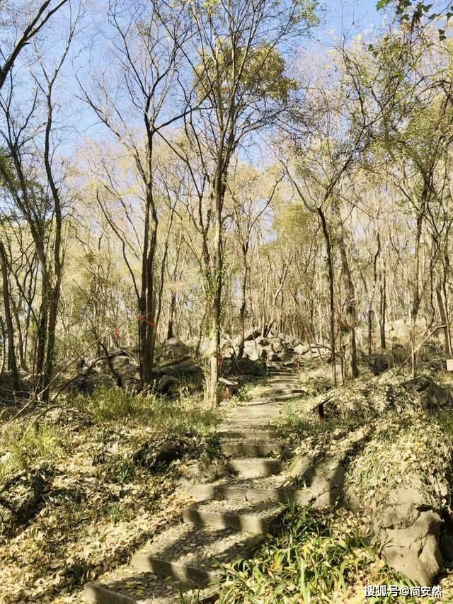 嘉靖|荆门太子山，少年嘉靖皇帝狩猎之地，今华中地区唯一合法狩猎场