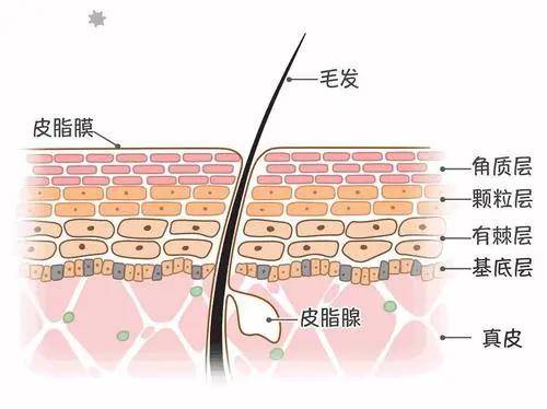 叛逆离谱丨冬天这是我见过最叛逆的事情了。。。。。。