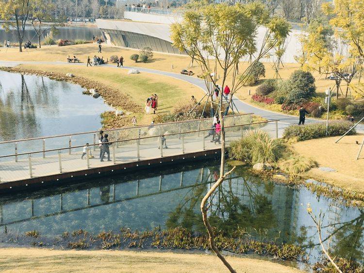 成都最"金贵"的城市公园,面积14平方公里,周边寸土寸金