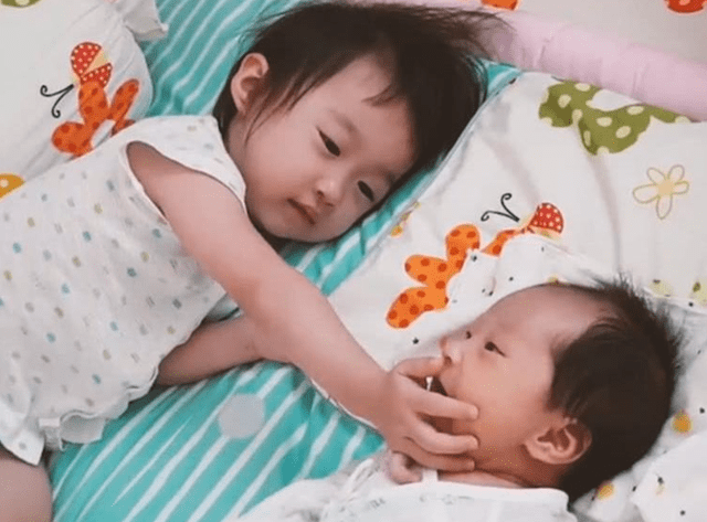 什么|谢娜晒三个女儿日常照，跳跳俏俏写作业超可爱，二胎生活令人向往