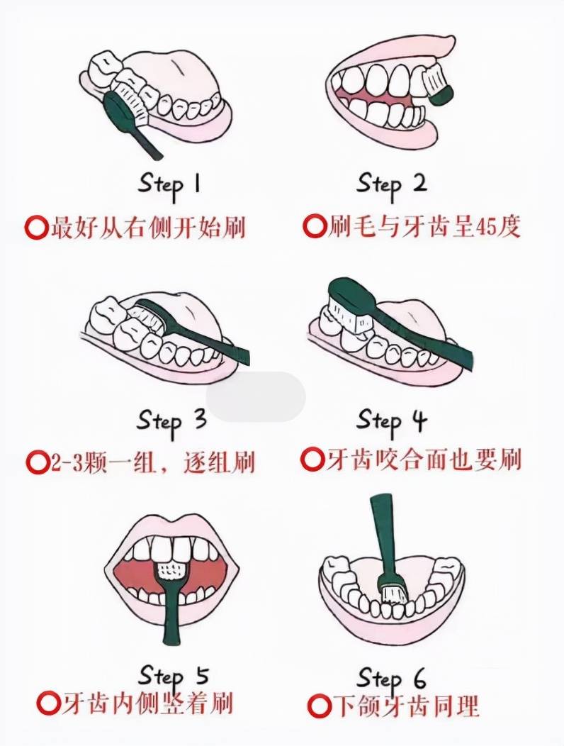 常用的刷牙方法有哪些 刷牙的几种方法