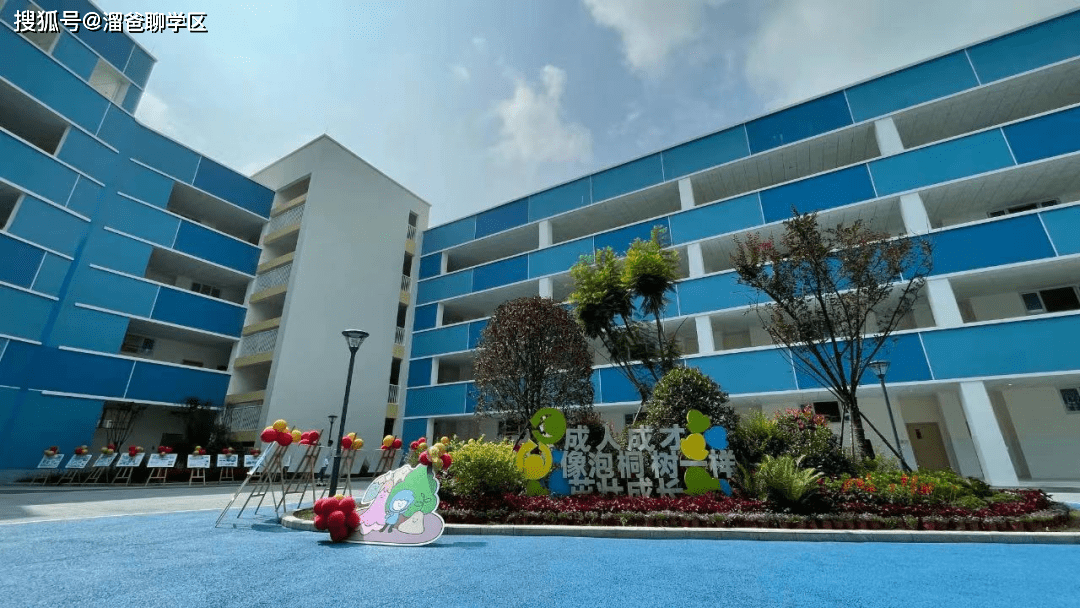 泡桐树小学新校区踩盘报告