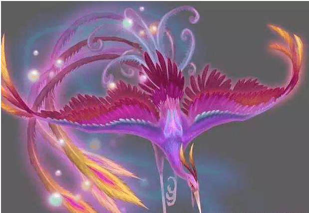 12e31989c36d49e394786512527b1d66.png