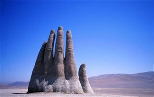世上特别的三只手，一只在沙漠中心，一只握着树，还有一只在我国