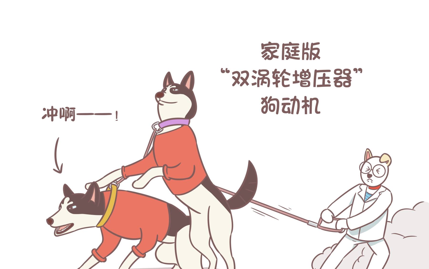 时间铲屎官不努力，俩狗常打架！养狗的你该找找自己的问题了