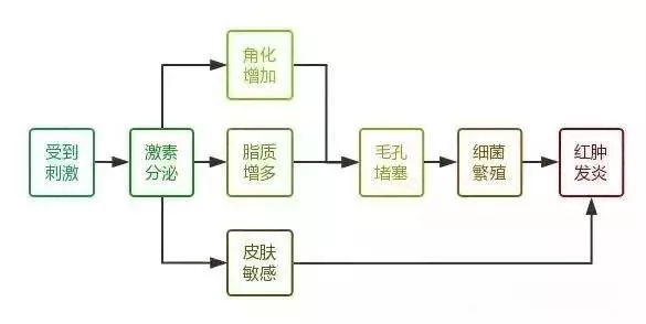 什么好好的脸，为什么会长痘？