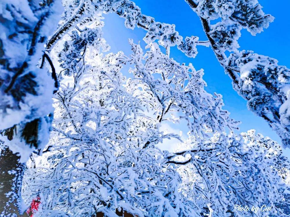 “云游嵩县”！【雪景篇】他朝若是同淋雪，此生也算共白头