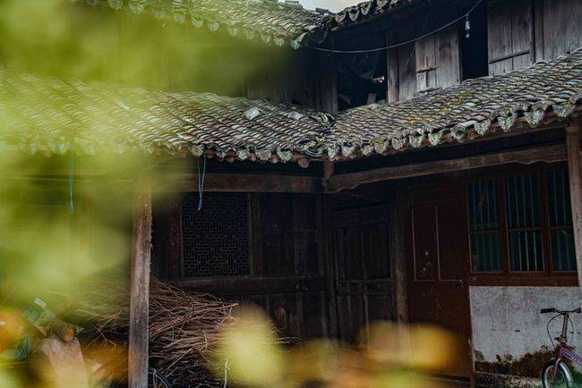 在繁华的温州，还藏着自然原始的南阁古村