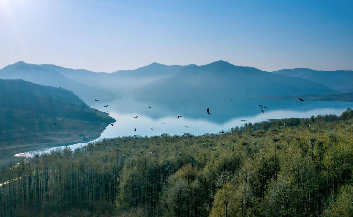 辽阳的弓长岭能吃到正宗的汤河水库鱼吗？很难，但也不是没有办法