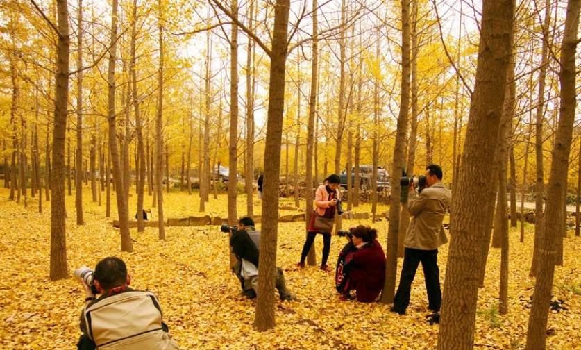 原创             江苏省最大的生态主题乐园，依山傍水景色优美，门票高达260元