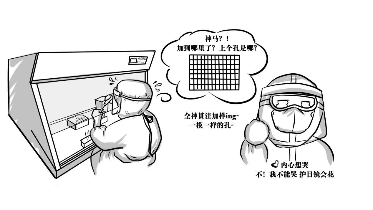 检测|一张核酸检测报告是这样出炉的！