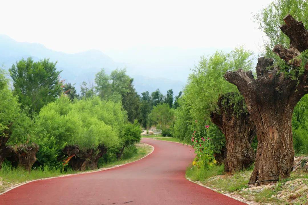 文化|贺兰山东麓旅游度假区 | 畅游贺兰山之A级景区