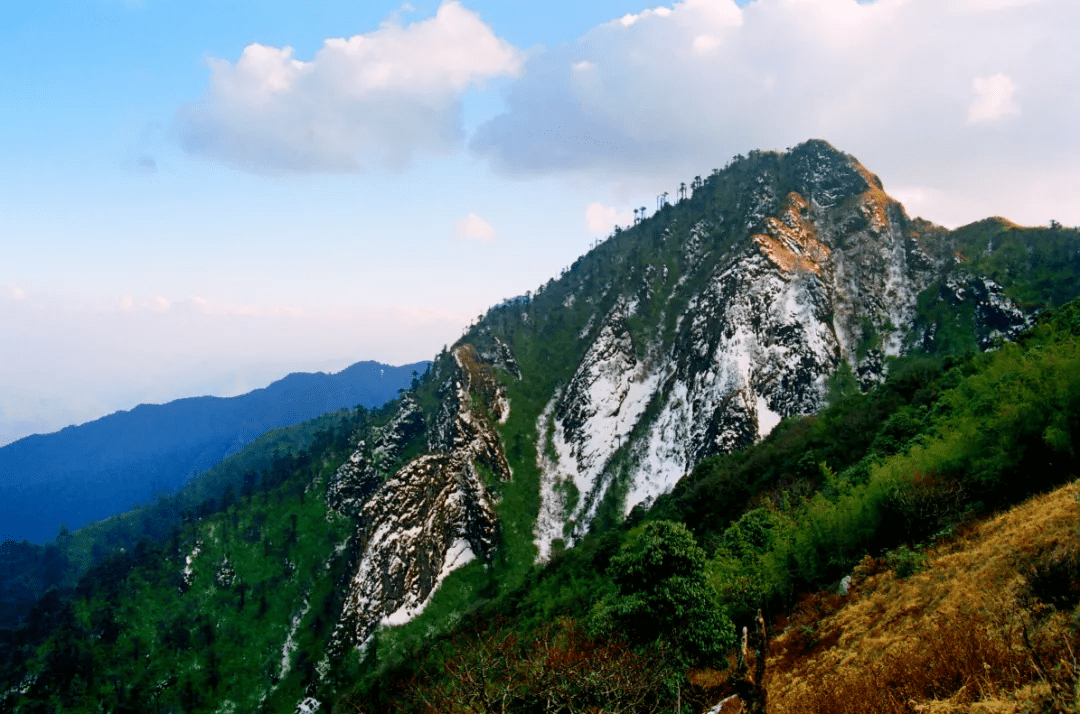 森林|探秘高黎贡山