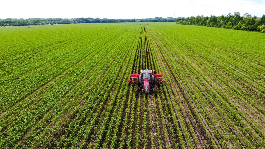 别小瞧中国传统农业延续几千年它蕴含着生态大智慧