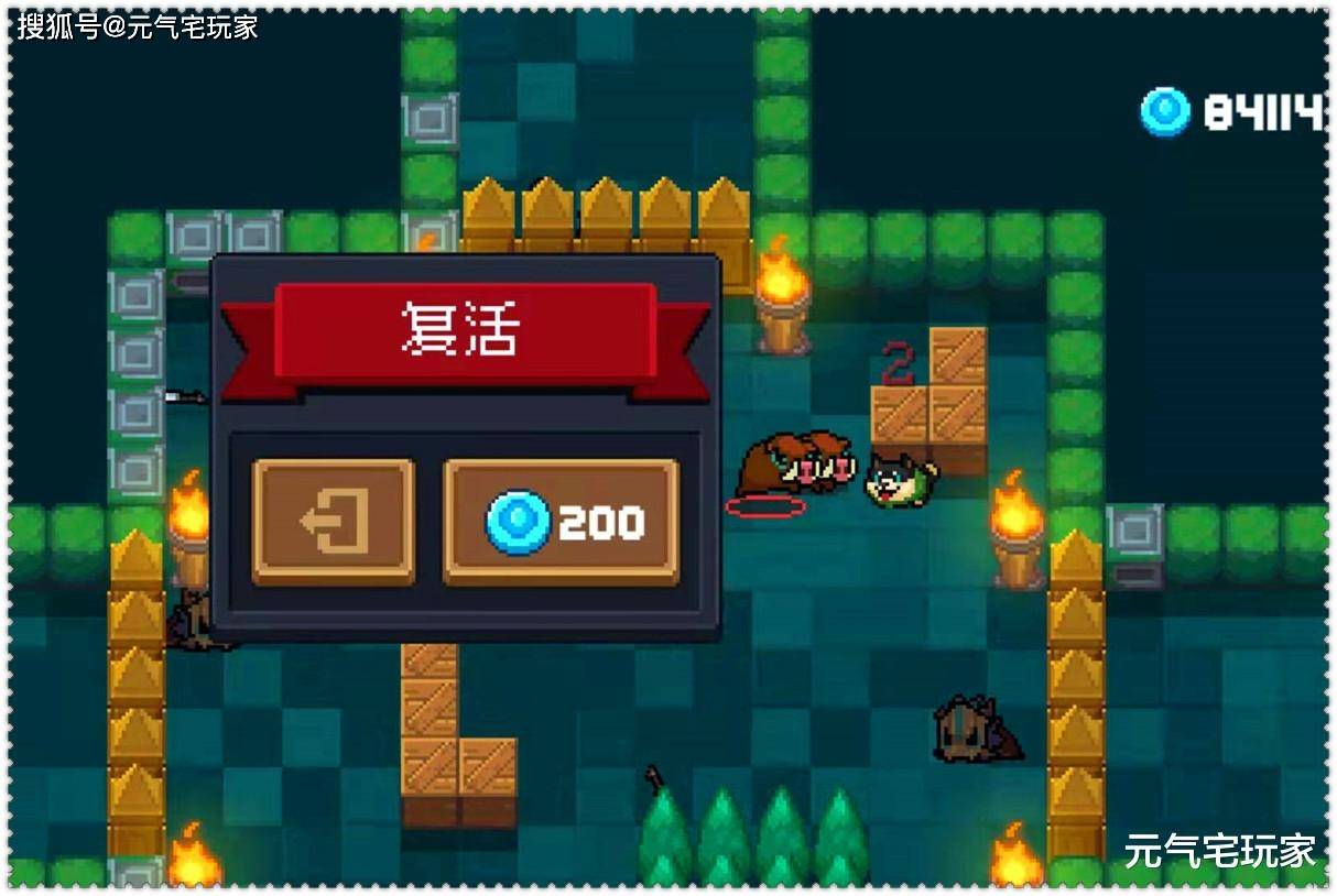 新飞飞骑士和宠物怎么加点？