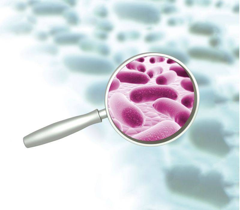 蓝色血液的鲎怎么做好吃 ef95de52e2e14be988af017d9a8db1c4.jpeg