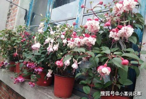 d367d70c1ab04e10bd82d32a36802236.jpeg