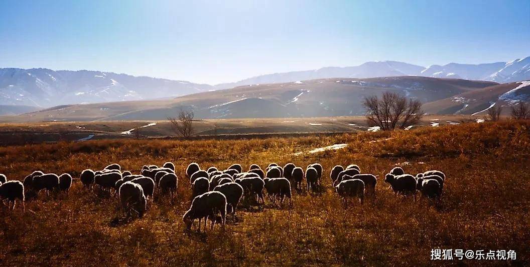 哈萨克斯坦主要自然资源