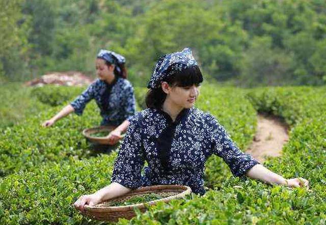 檸檬一到夏天就油光滿面？5招幫你掃去多余油光清爽過夏，再也不用愁