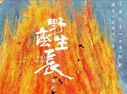 林更新|《楚乔传》淳儿心愿未了,《海上繁花》弥补,2022的林更新,赵丽颖,窦骁新作