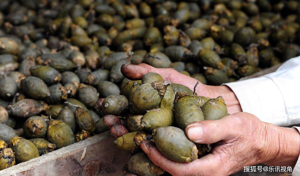 槟榔的出厂价格 口味王15一包拿货价多少