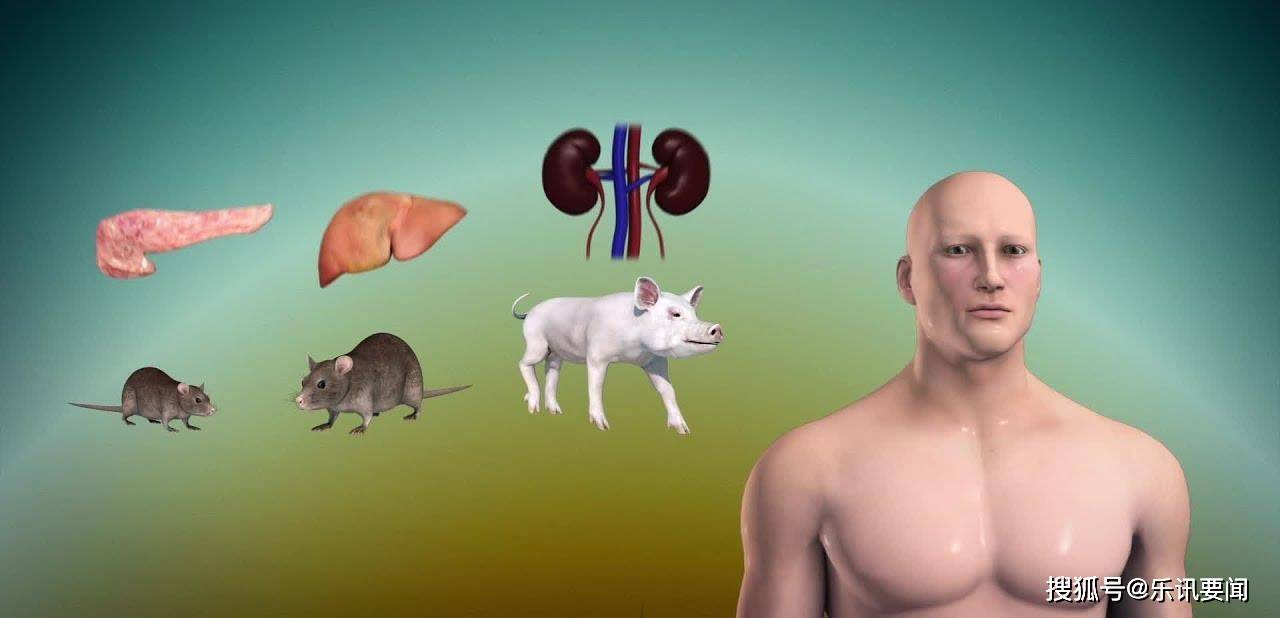 ��������װ�������ϣ�û���ųⷴӦ������ҽ������������