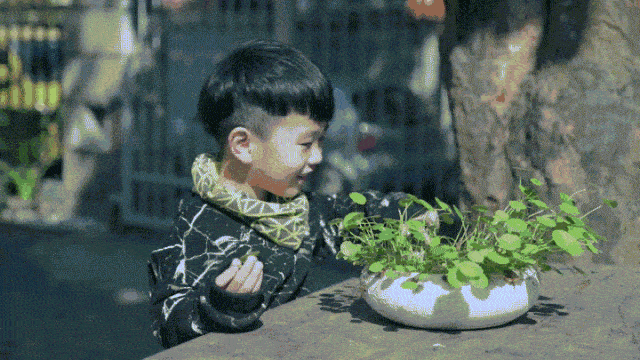 计划|如何你正在苦恼于孩子的寒假计划，看看这篇攻略，帮你解忧！