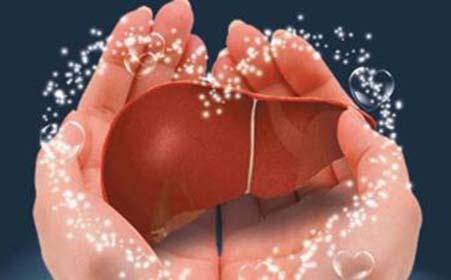 肝脏|李兰娟:早上是养肝“黄金期”,5种早餐换着吃,肝脏或慢慢变好