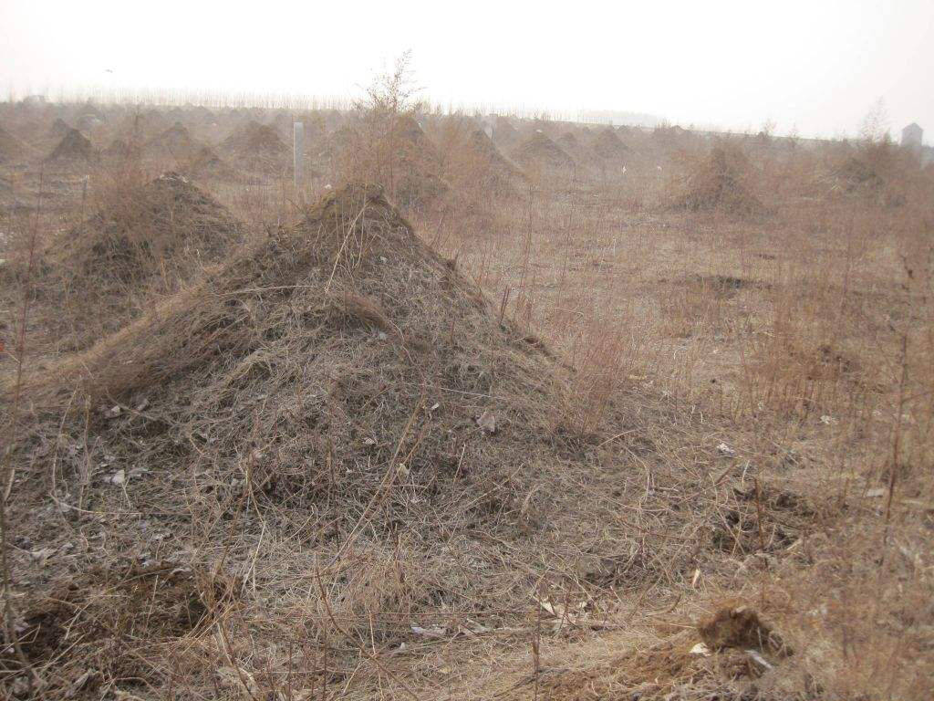 1989年放牛娃在坟山捡到大量现金意外牵出血案29年后查出凶手