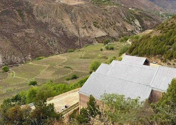 Yun|《葡萄酒倡导家》公布2021年度中国精品葡萄酒