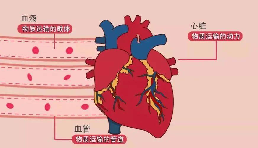 氧气这张千禧辣妹脸到底有多特别？可以被众多大佬偏爱到这种程度…