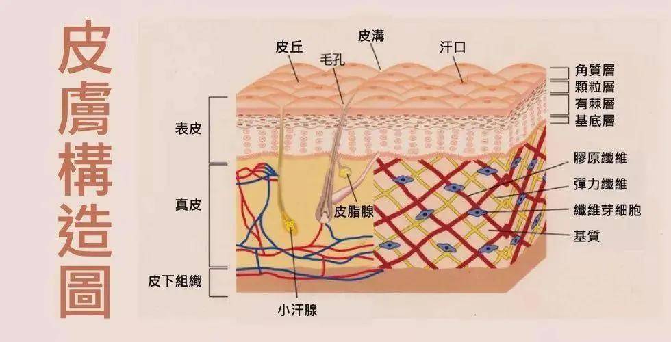 氧气这张千禧辣妹脸到底有多特别？可以被众多大佬偏爱到这种程度…