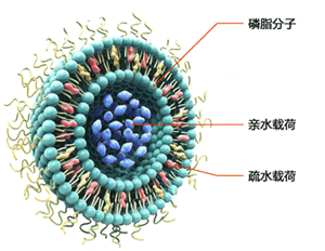 米粒脂质颗粒技术应用于化妆品