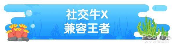 新年宠粉礼 | 【惠普 x 海绵宝宝】联名移动SSD来啦