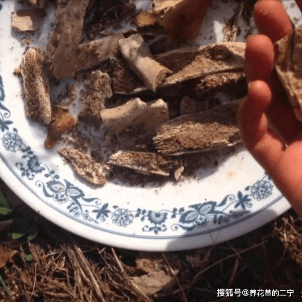 7a69dcf2ee85420ea2db8227cce50ad2.png