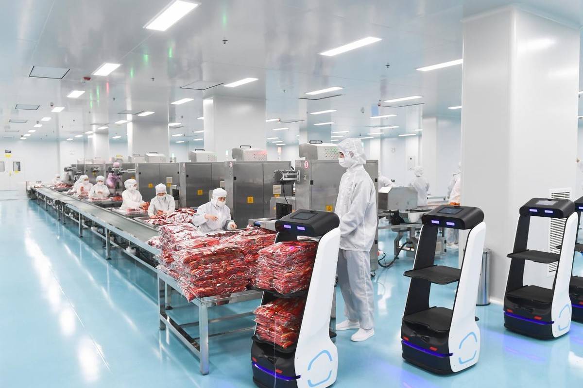 年产10亿包，超大制药级辣条车间湖南投产