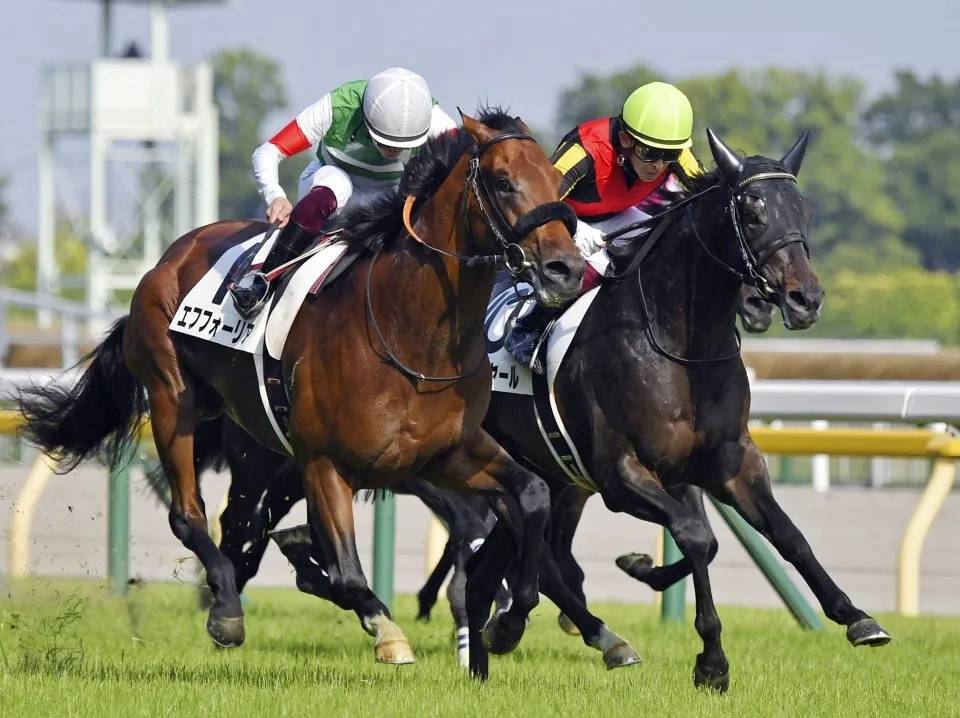 原创赛马邮报racingpost日本德比冠军大帝锁定迪拜司马经典赛