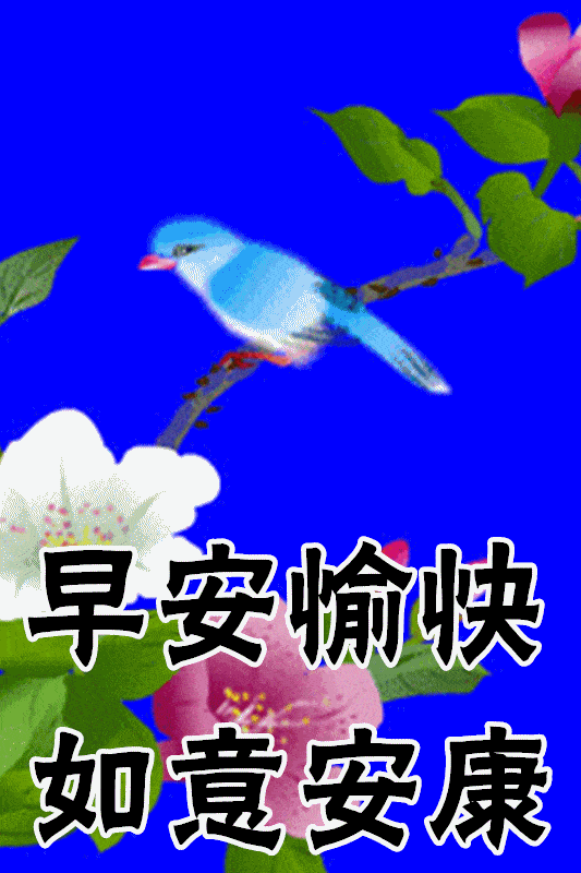 533_800竖版 竖屏gif 动态图 动图