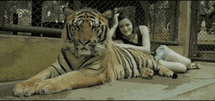 650e1164ecb84539a5aaa33f765c8577.gif